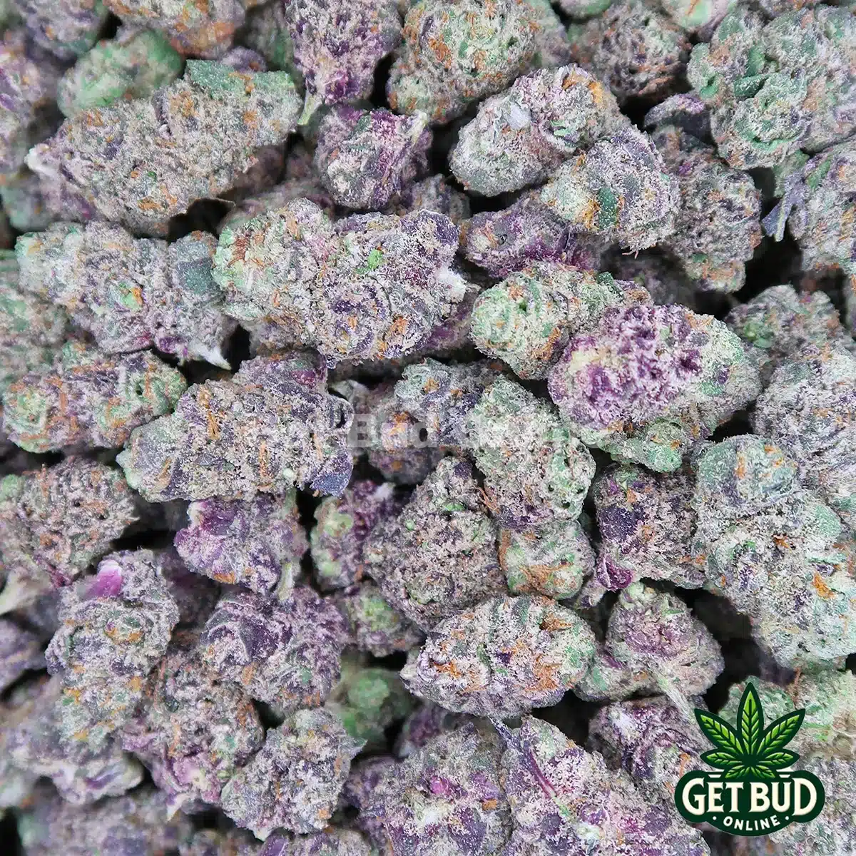 Glitter Bomb ✨ (Premium Small Buds) 🔥 Ounce Deal 🔥