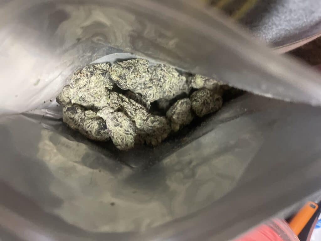 Image #2 from T Turner