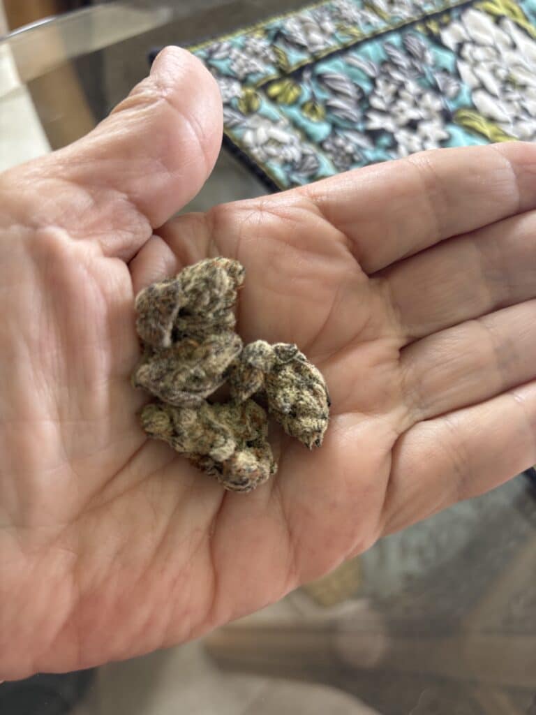 Image #1 from Carol Fortuin