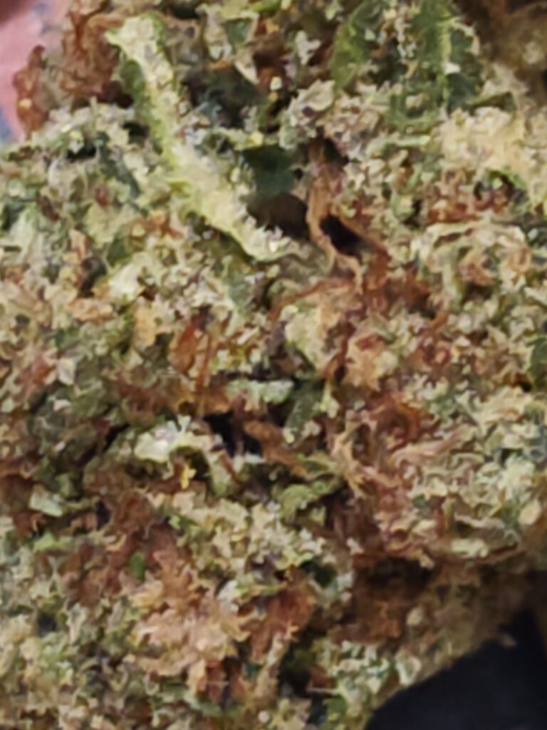 Image #2 from David Patrick