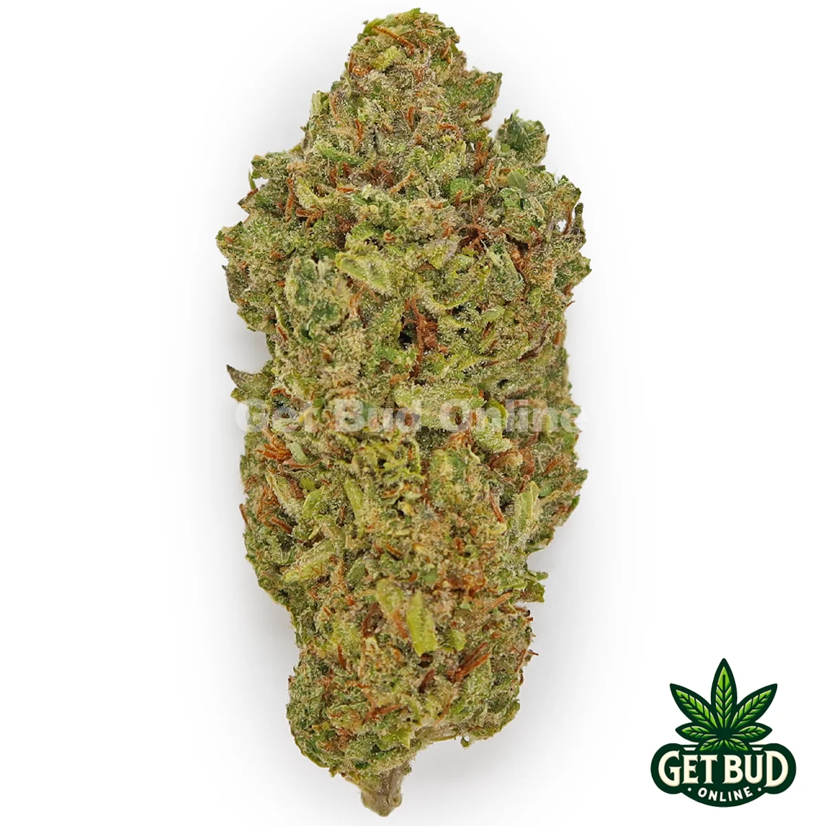 Zookies 1 Zookies (Value Bud) π₯ - Image 1