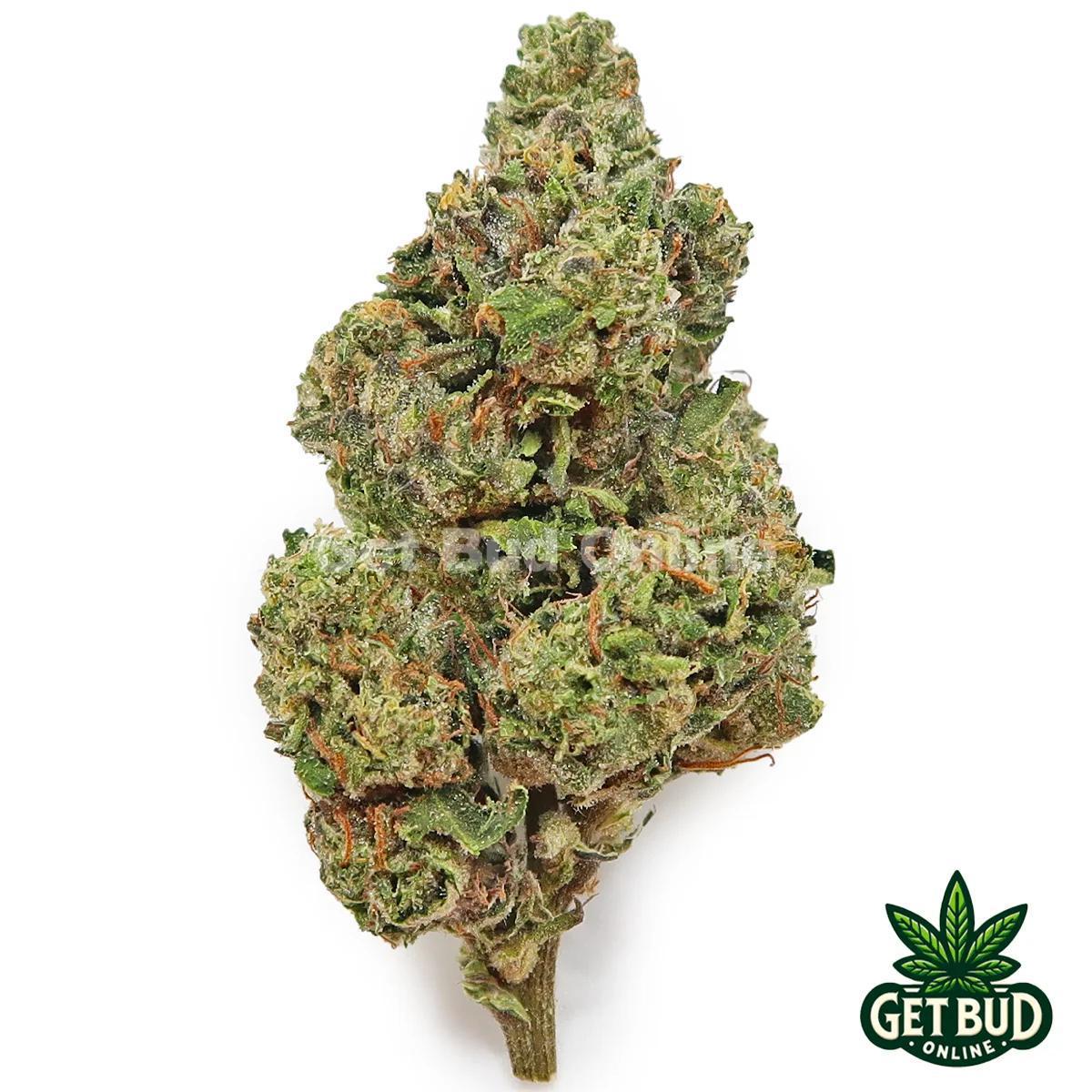 f5b30e49-a12c-4f4d-acba-01f9051c5980.jpeg Bubblegum Runtz (Value Bud) 🔥 - Image 1