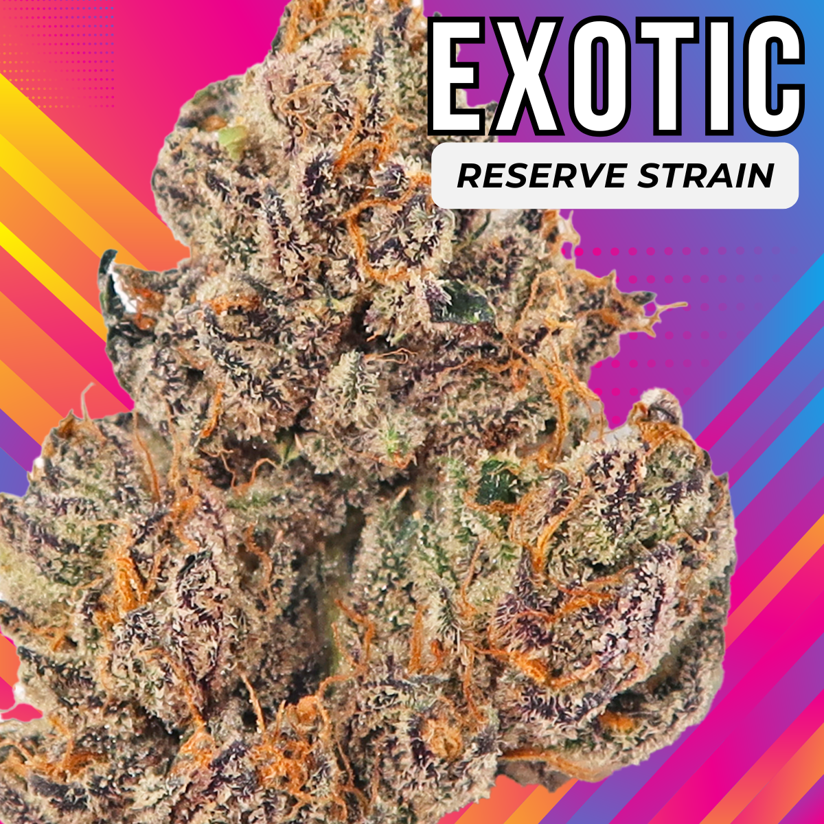 59877393-4496-419e-8298-53c097550cf5.png Speaker Knockerz β½π₯ (EXOTIC Private Reserve)ππ₯ - Image 1