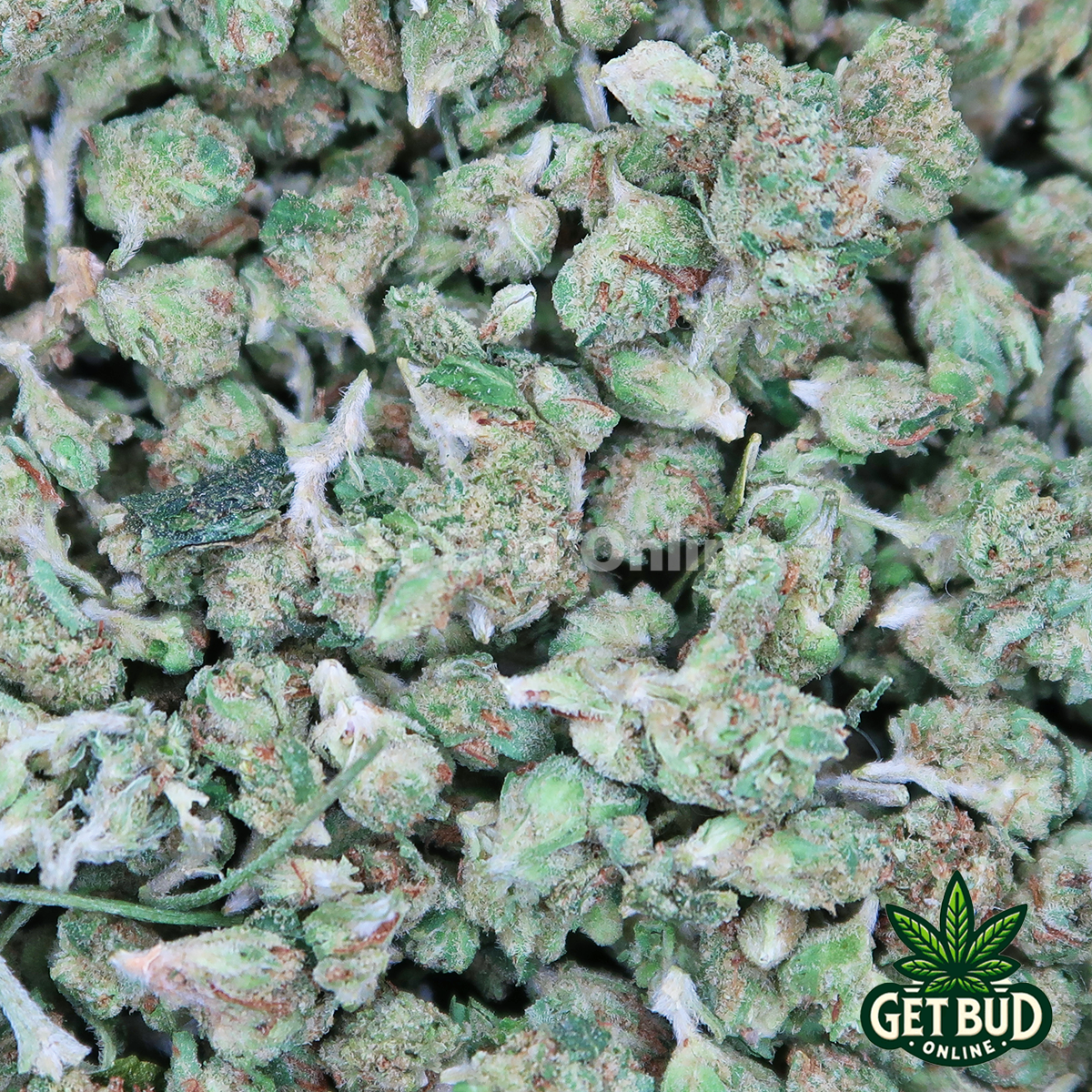 b988cb3b-82c0-4523-8b08-b29c2f564947.png Tahoe OG (Micro Buds) 🔥 OZ Only Deal 🔥 - Image 1