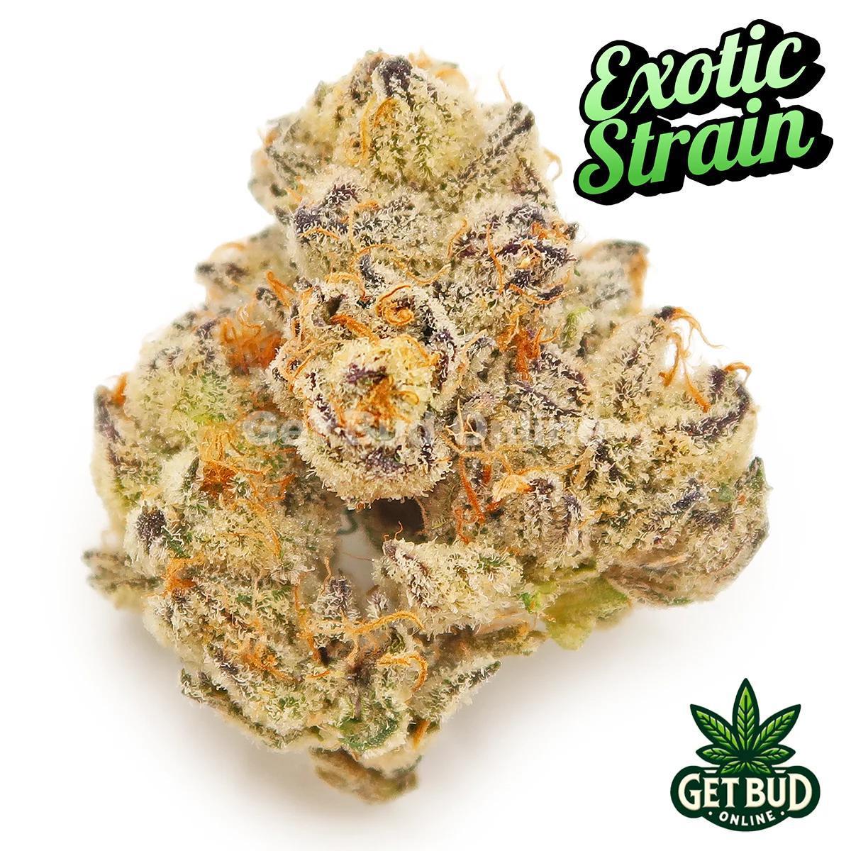 Rocket Pop (EXOTIC Private Reserve)💎🔥