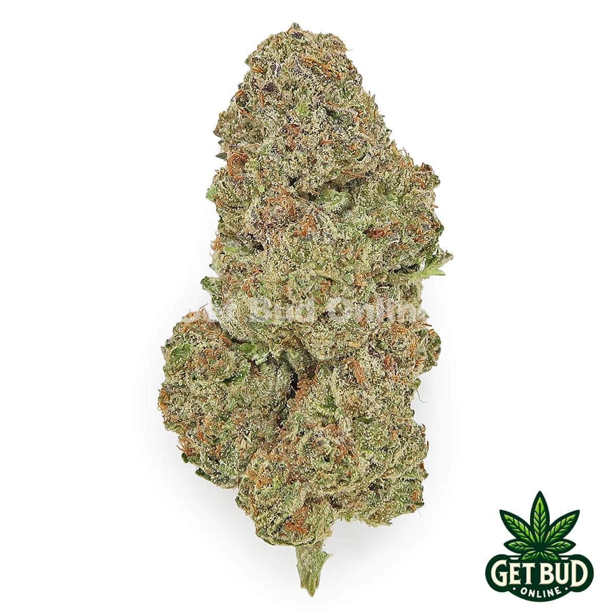 Berry White (Value Bud)