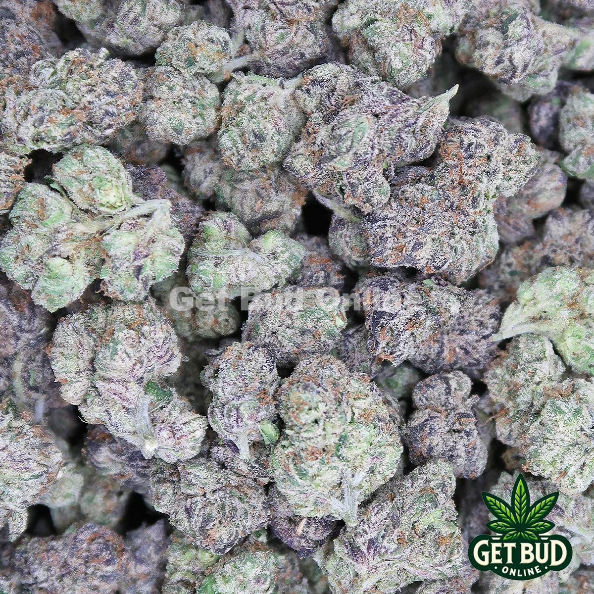 Galactic Runtz  🔥 (Premium Bud) - Image 3