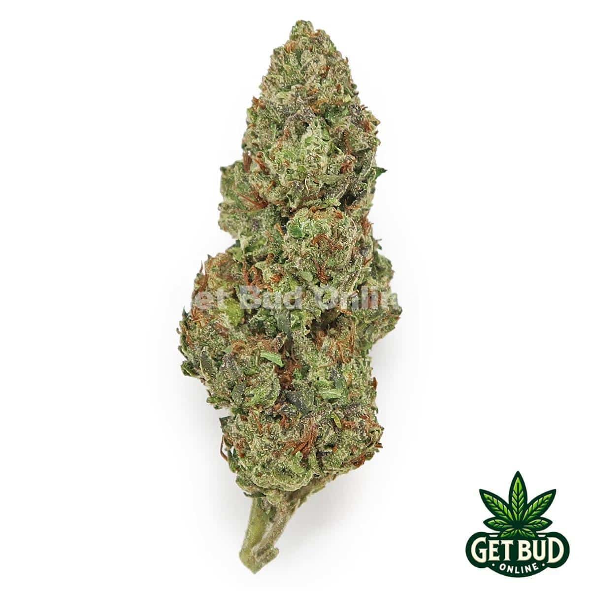 Sour Lemon (Value Bud)