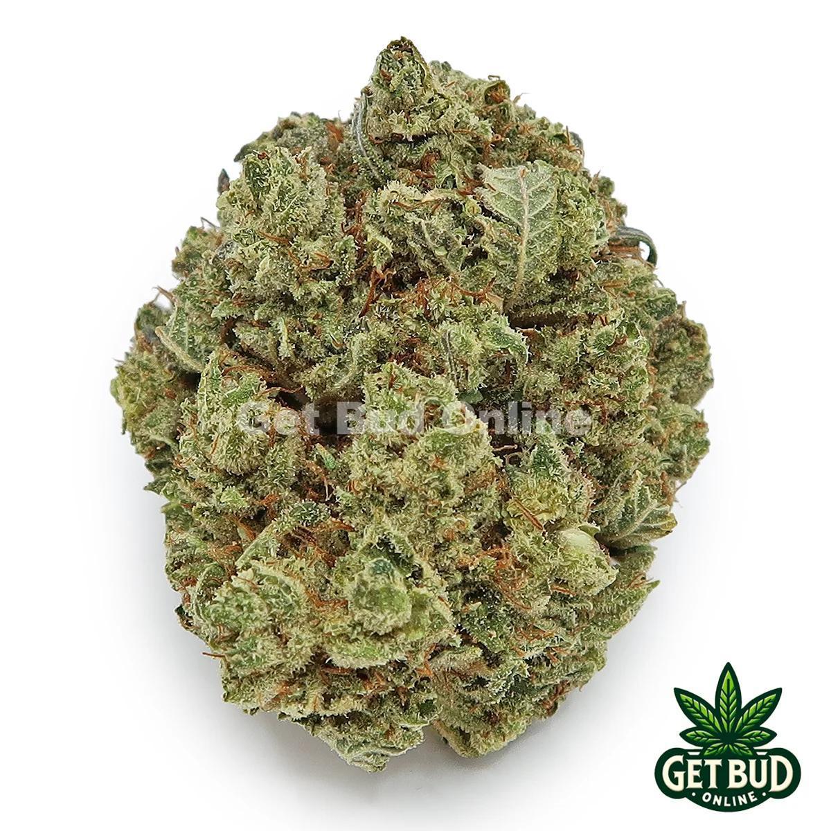 Sticky Glue (Value Bud)