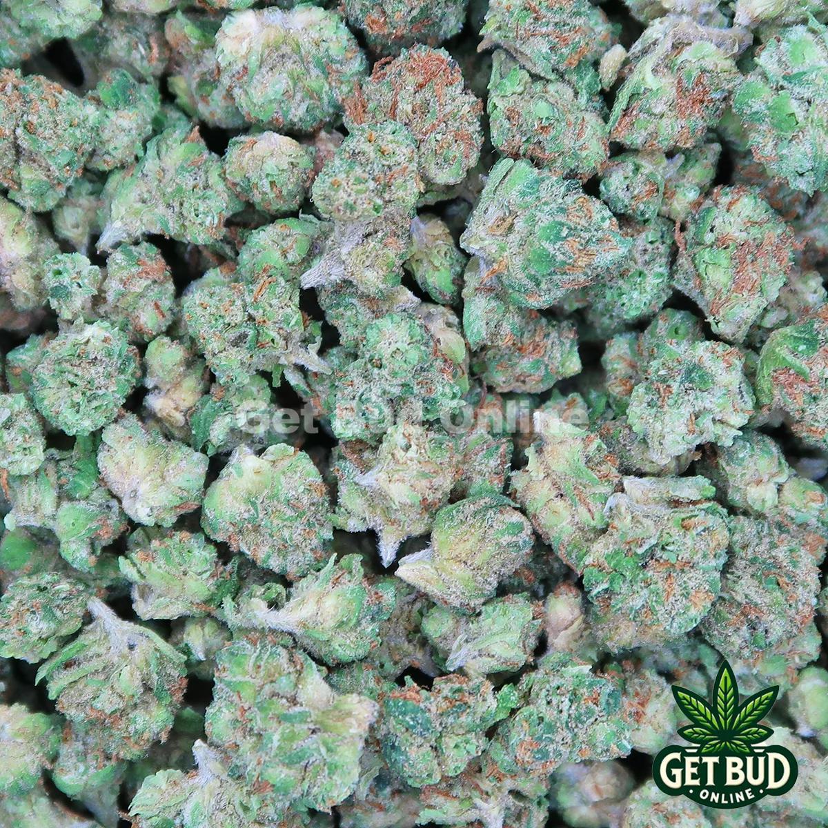 db16a33e-d643-4e5c-92fa-041b05c01fb6.jpeg Cereal Milk (Small Buds) 7g - Image 1