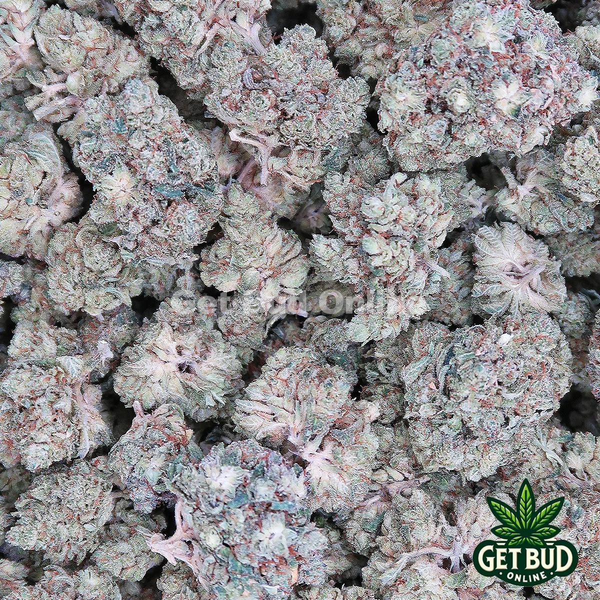 Sticky Glue (Value Bud) - Image 3