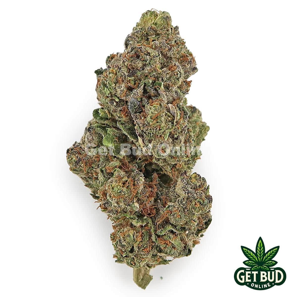 Jealousy (Value Bud)
