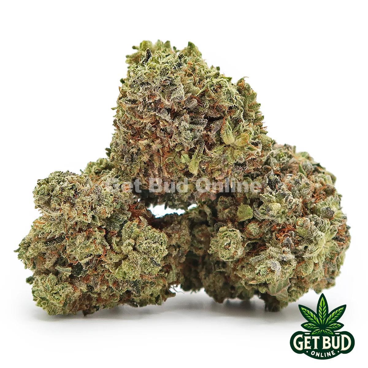 Sticky Glue (Value Bud) - Image 2