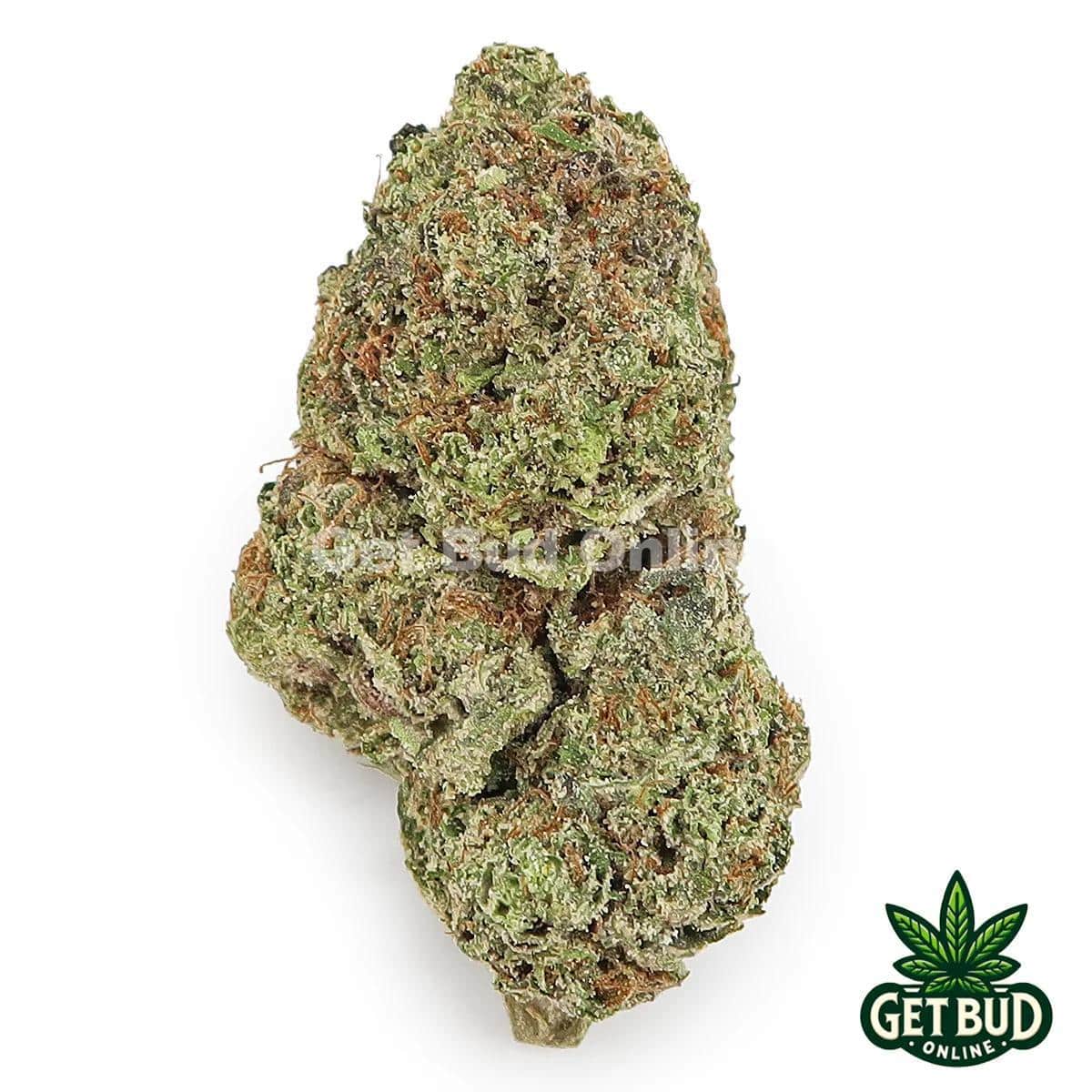 Pink Lemonade (Value Plus+ Bud)