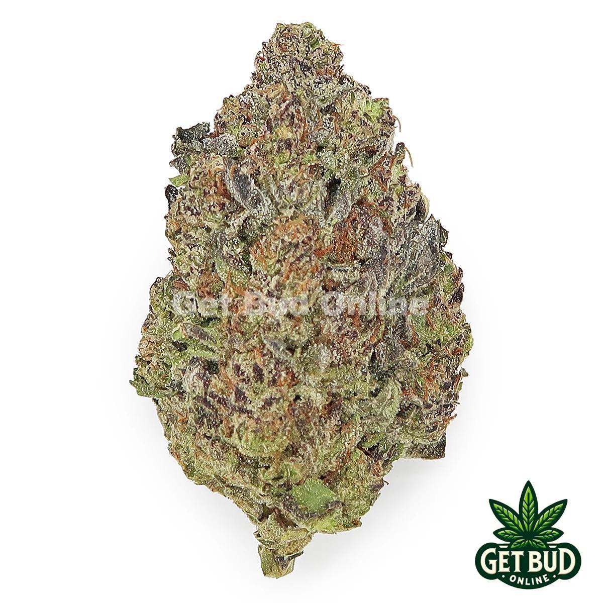 a1907e6d-ecb0-4d70-8e7b-4c87887e8c21.jpeg Gushmintz (Value Bud) - Image 1