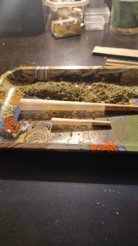 Image #1 from Andrew Stern