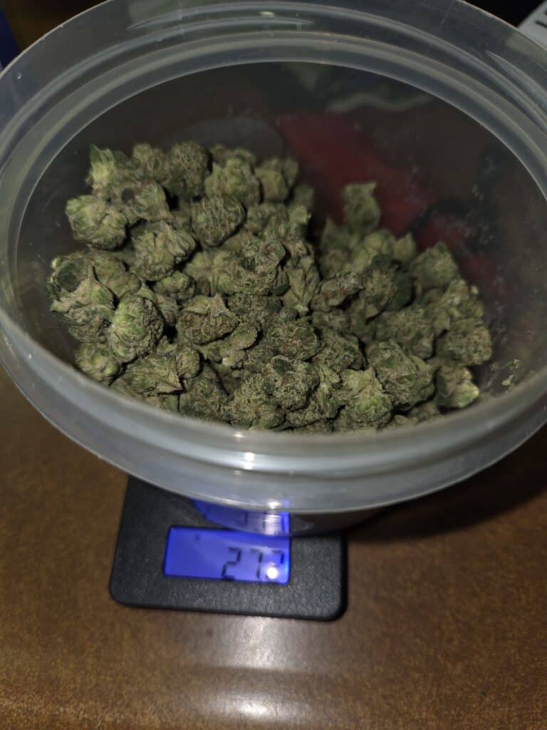 Image #1 from Richard Armstrong