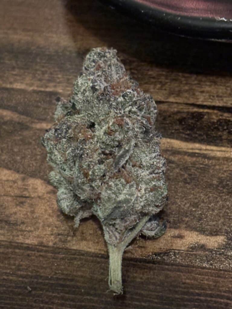 Image #2 from T Turner