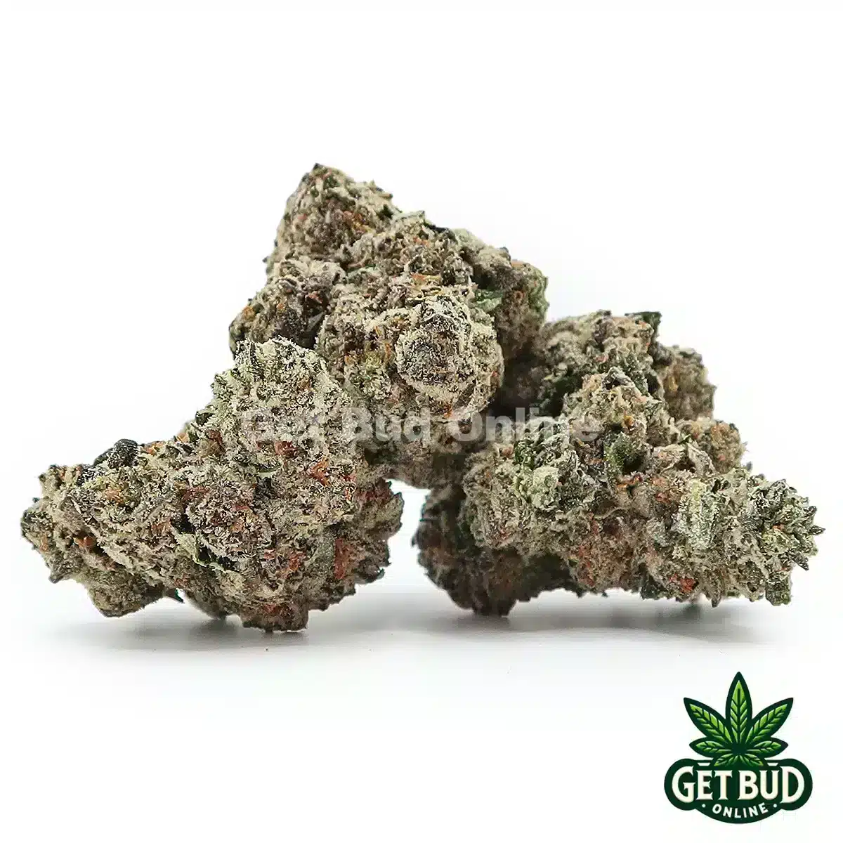Red Bull (Exotic Reserve Strain)