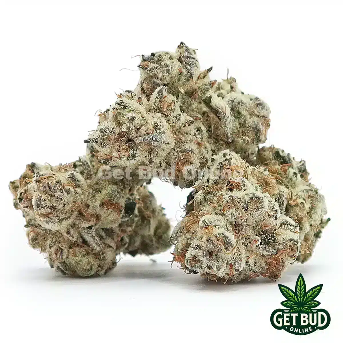 Singapore Sling (Exotic Reserve Strain)