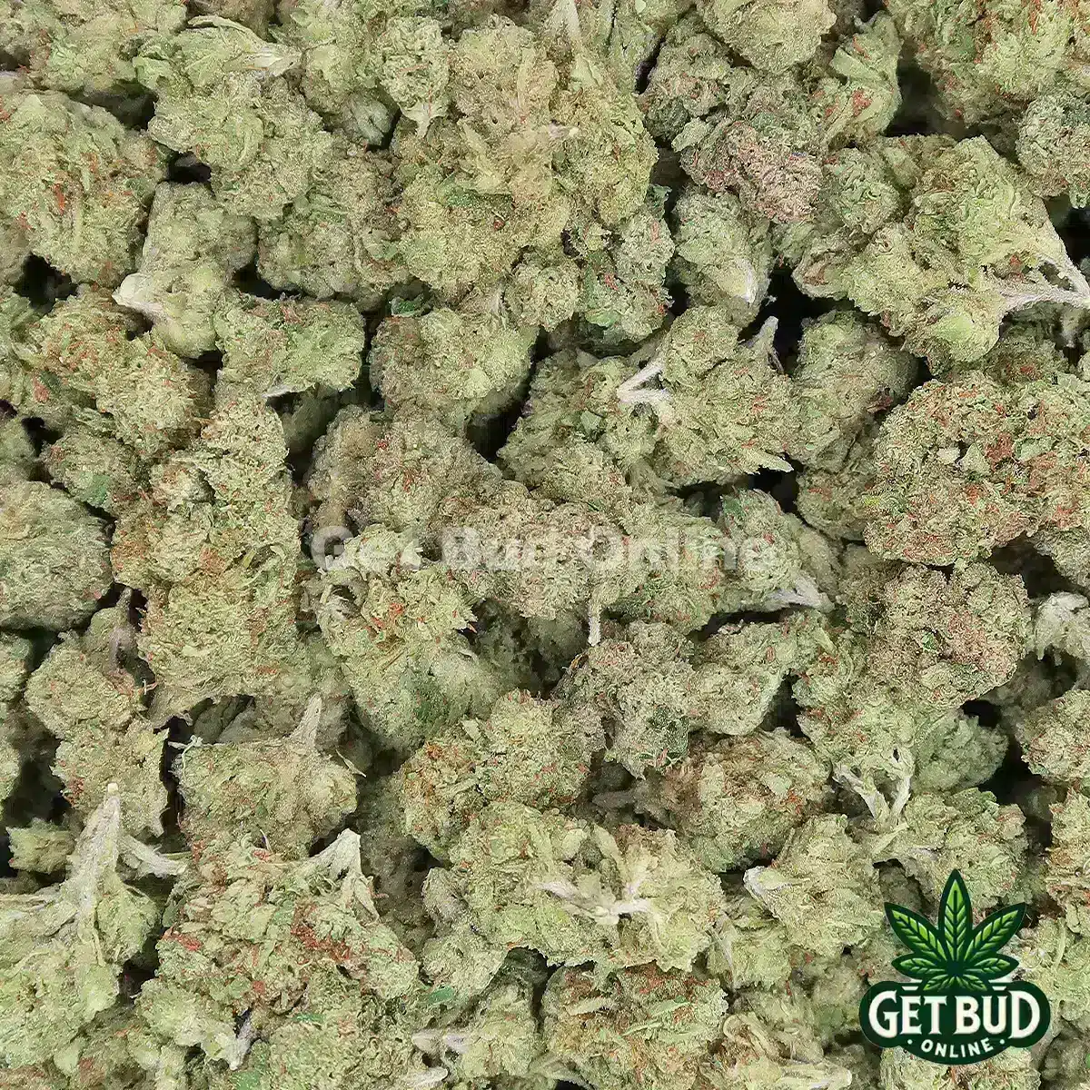 Blue Andeze (Medium Buds) Ounce Only Deal