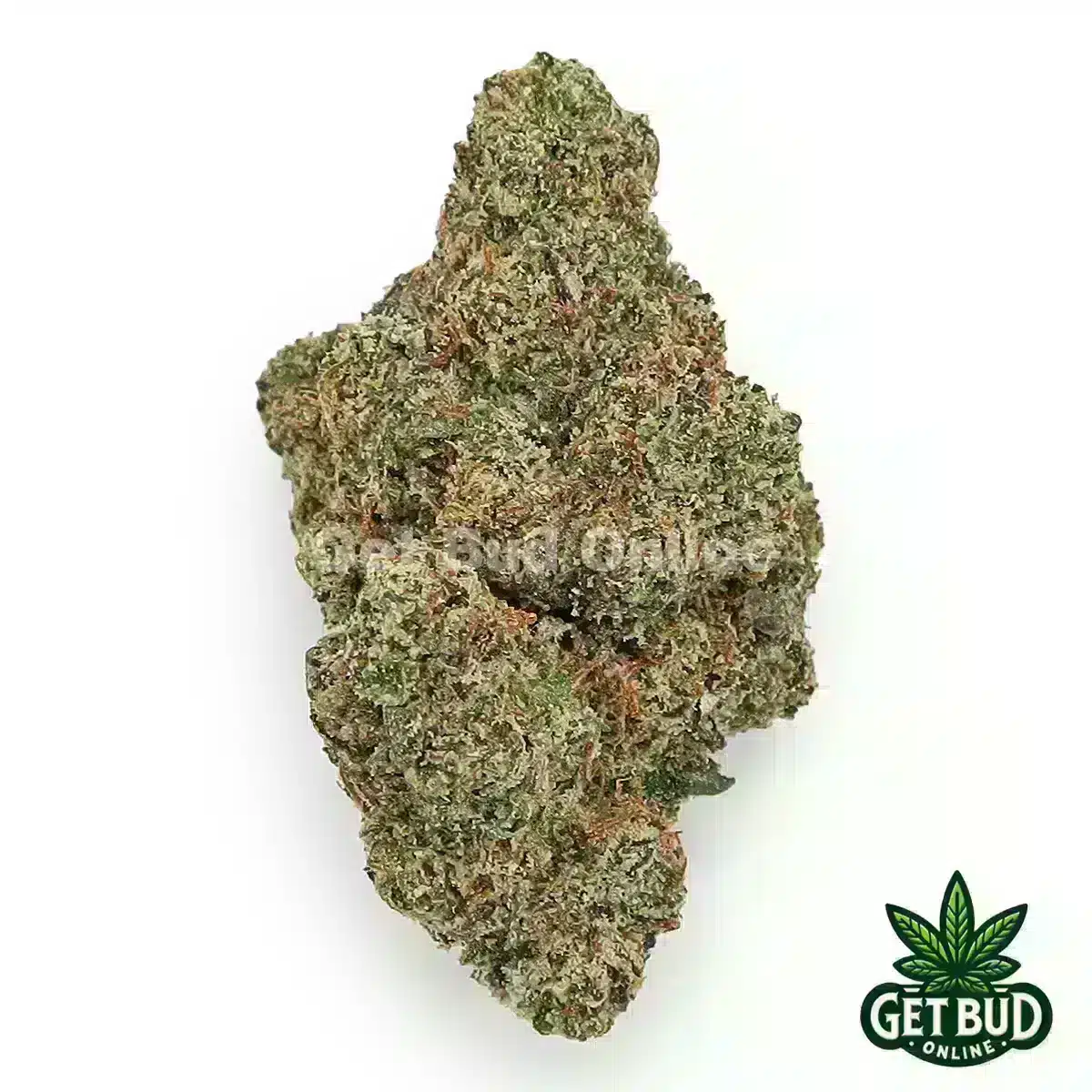 Cherry Gelato (Value Plus+ Bud)