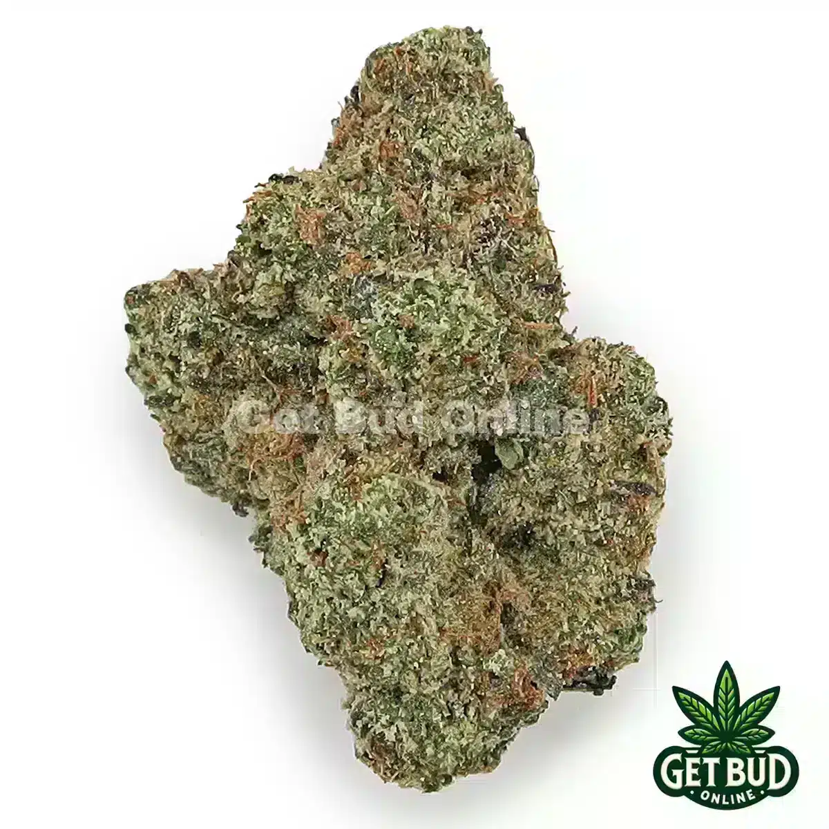 Lemon Cherry Sherb (Value Plus+ Bud)