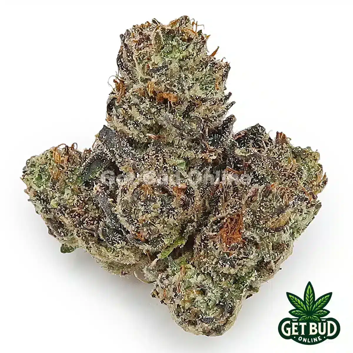 Purple Cream (Top Shelf Bud)