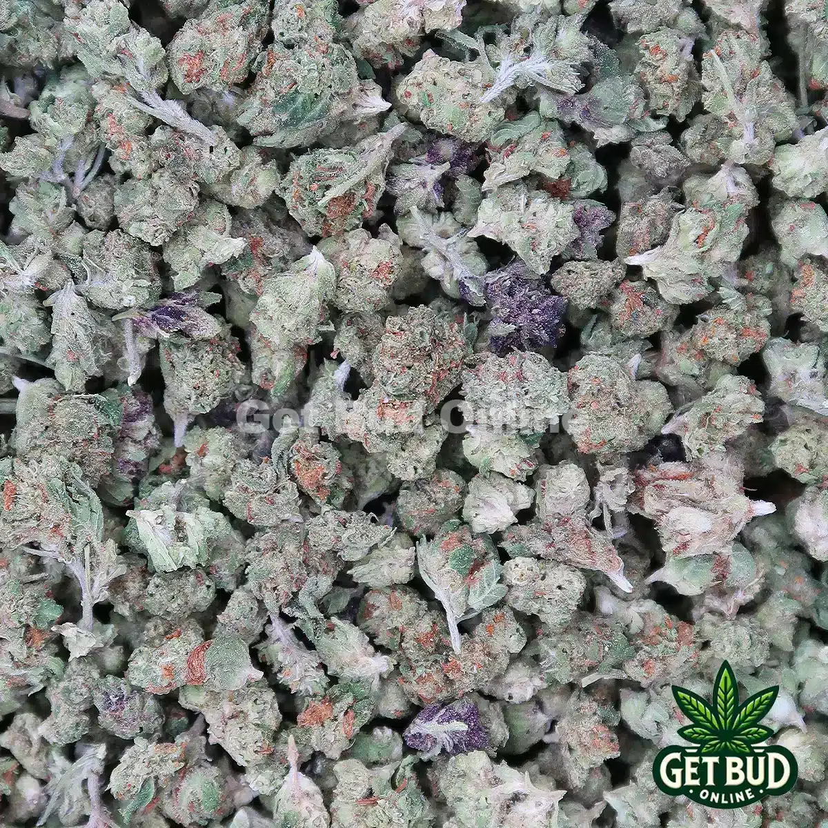 RS-11 Value Micros rs 11