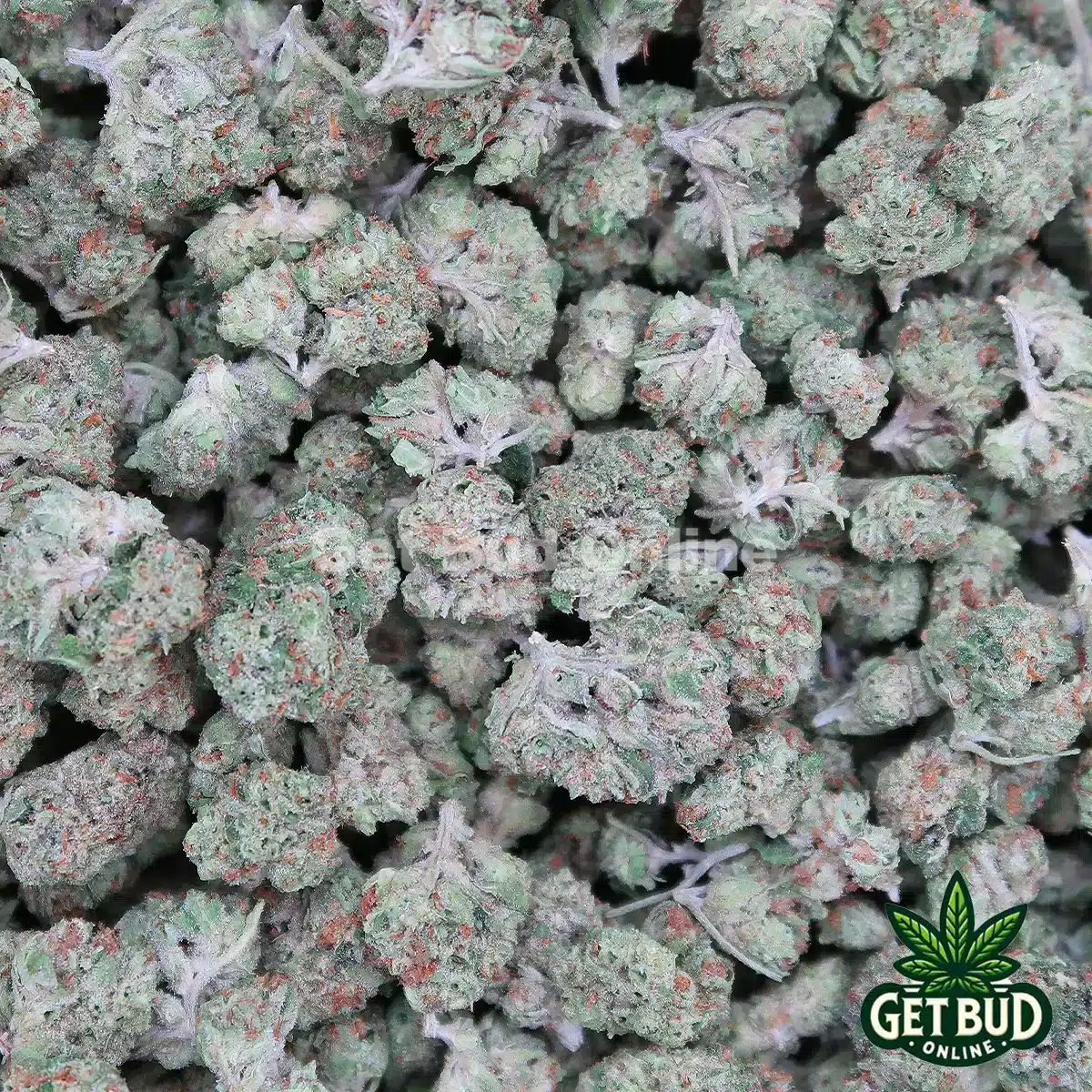 Sherbet Value Smalls Sherbet (Small Buds) Oz Only Deal