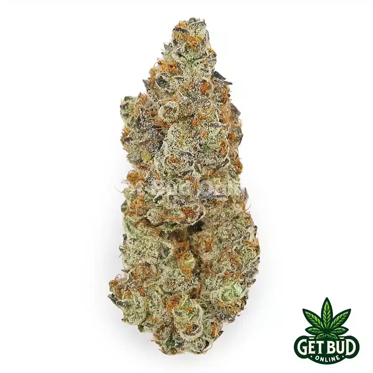 Styrofoam Cup (Top Shelf Bud)