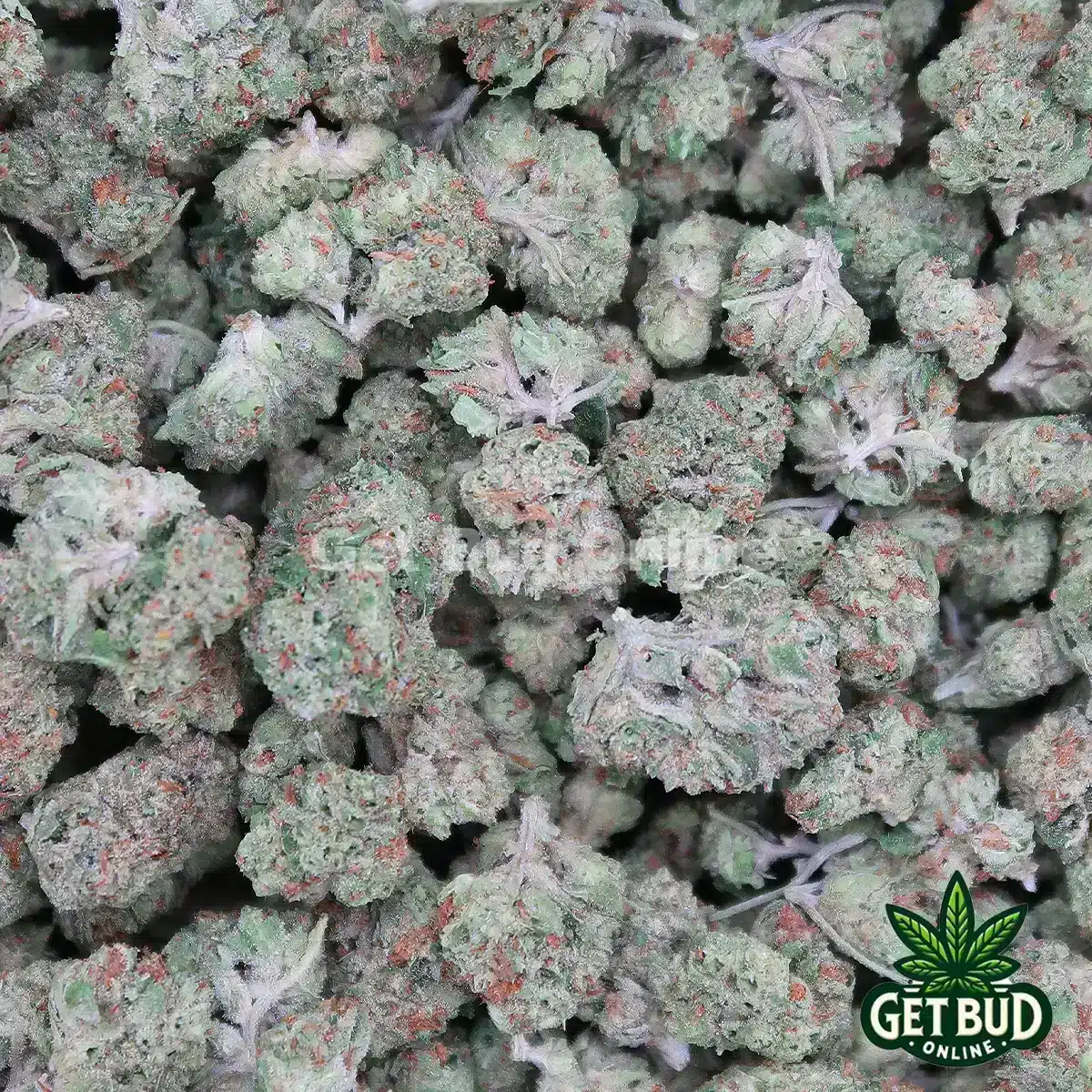 Truffle Cake Value Smalls Truffle Cake