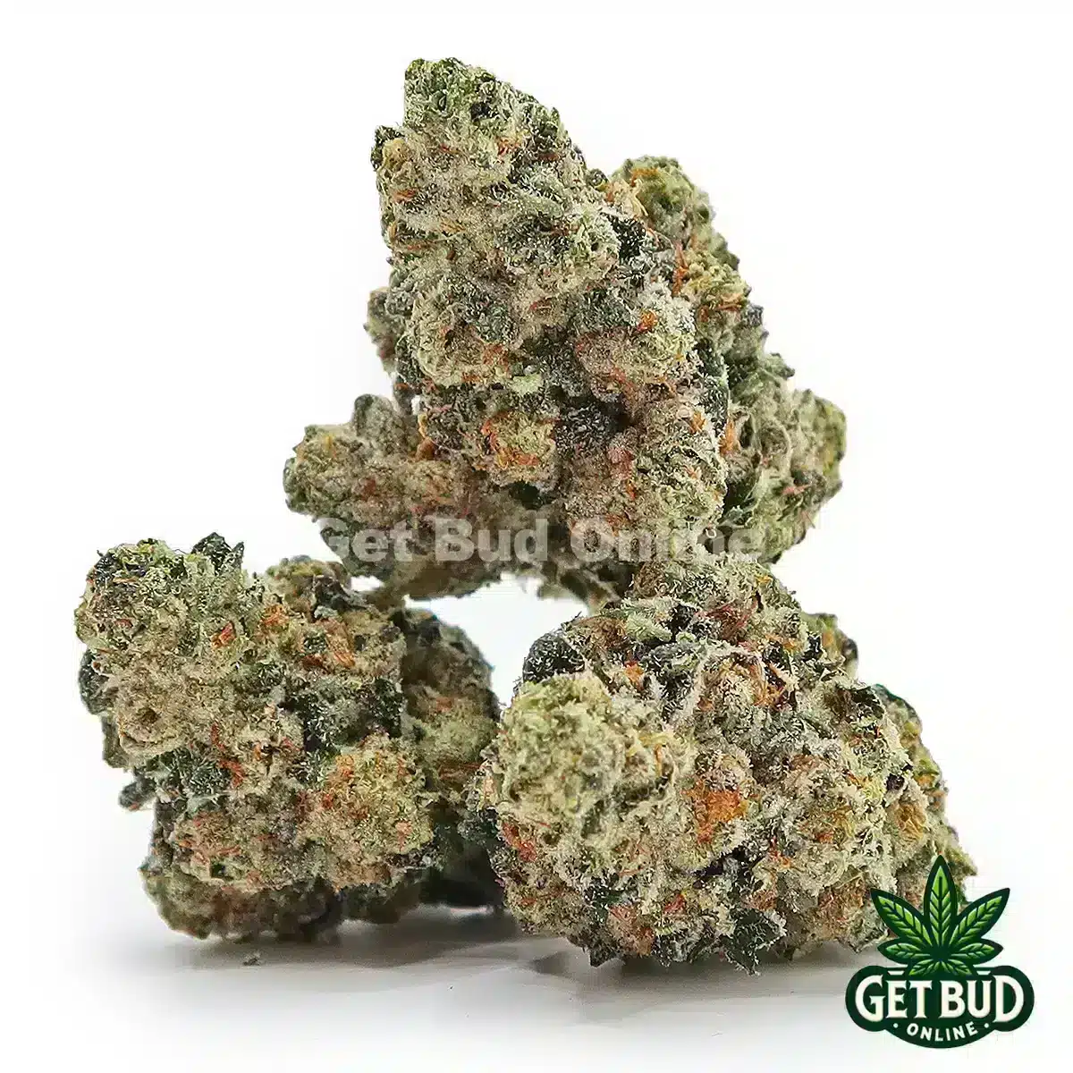 Biscotti Gelato (Premium Bud)