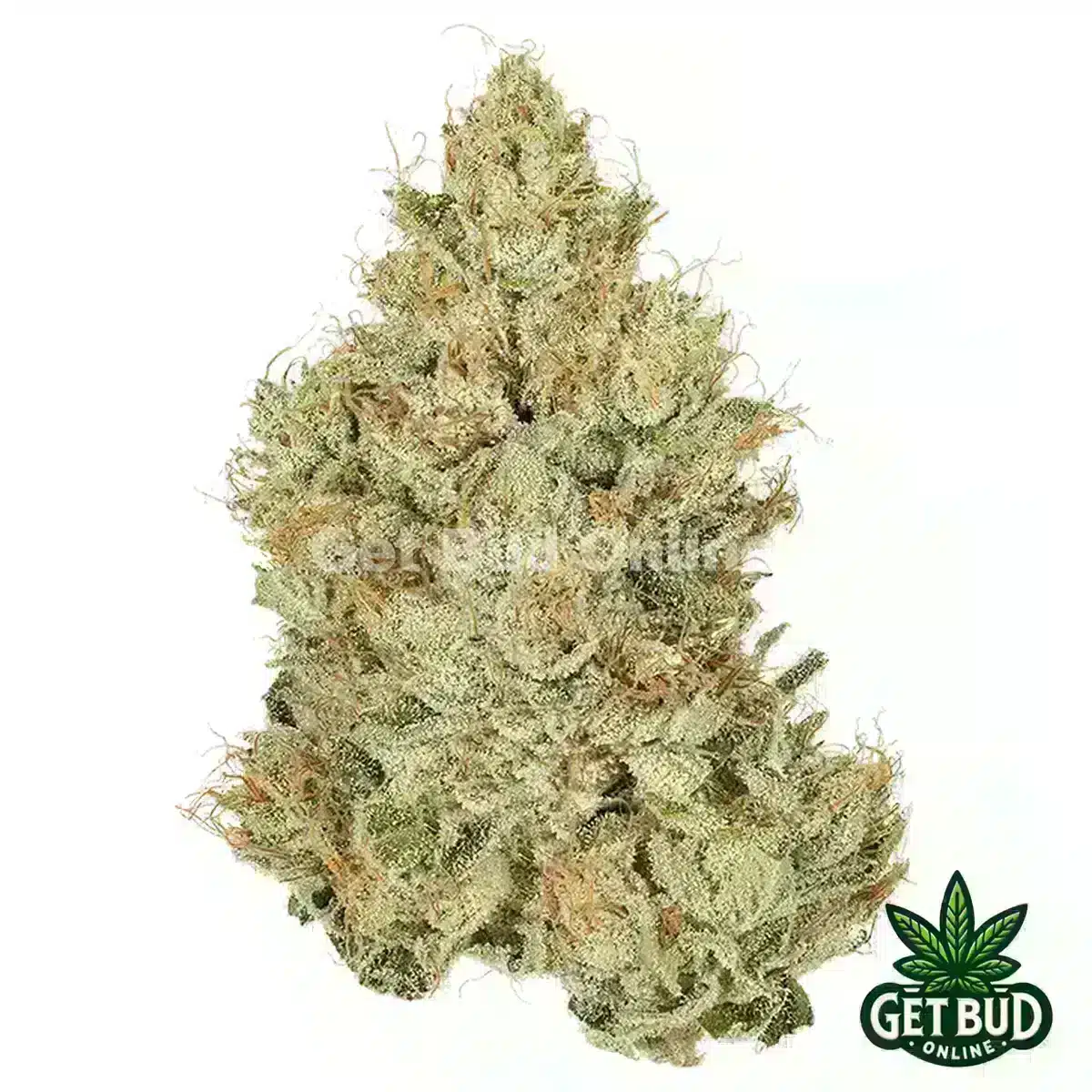 CBX Cannabiotix Flower 3.5g - Red Eye OG (Premium Bud)