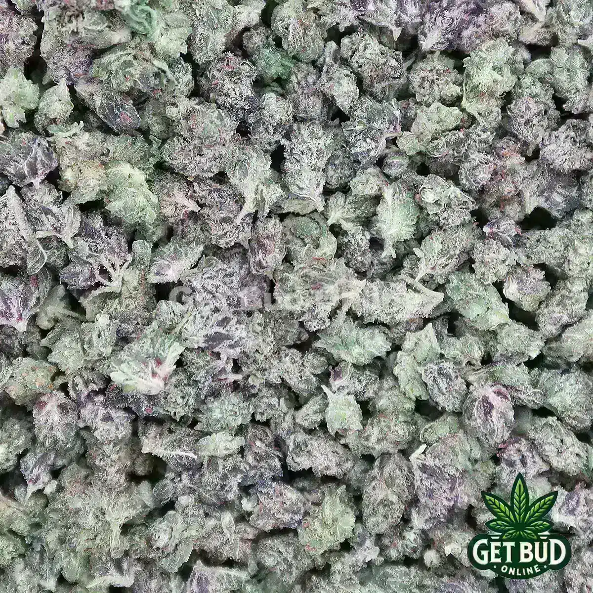 Blueberry Octane Micros Blueberry Octane (Micro Buds) OZ Only Deal
