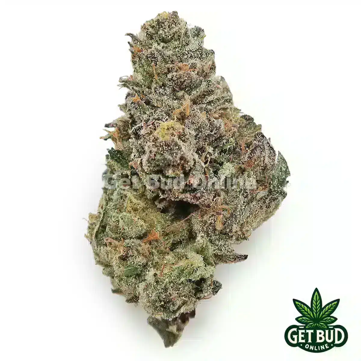 Mochi (Exotic Reserve Strain)