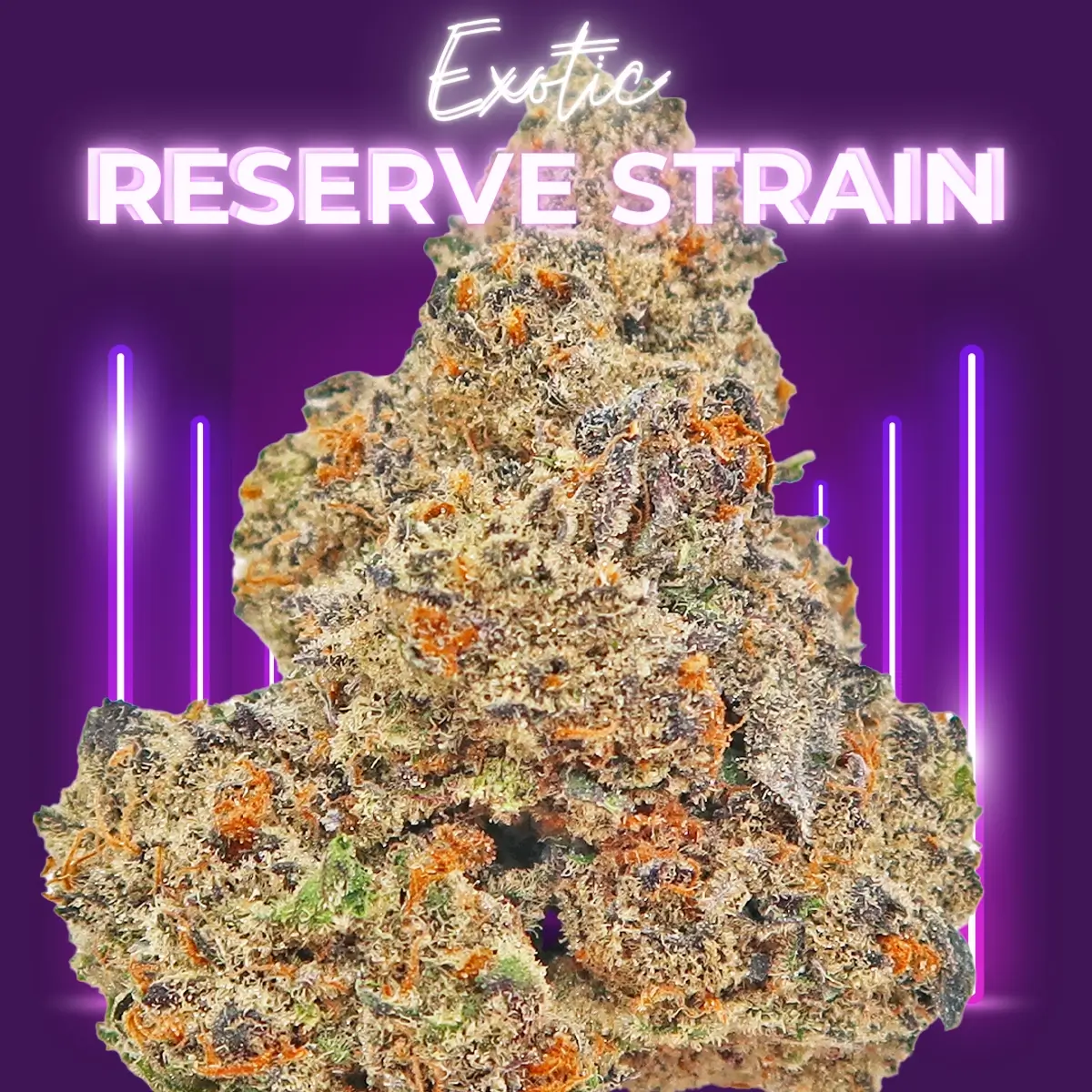 Kryptochronic-exotic1 Kryptochronic (EXOTIC Private Reserve)