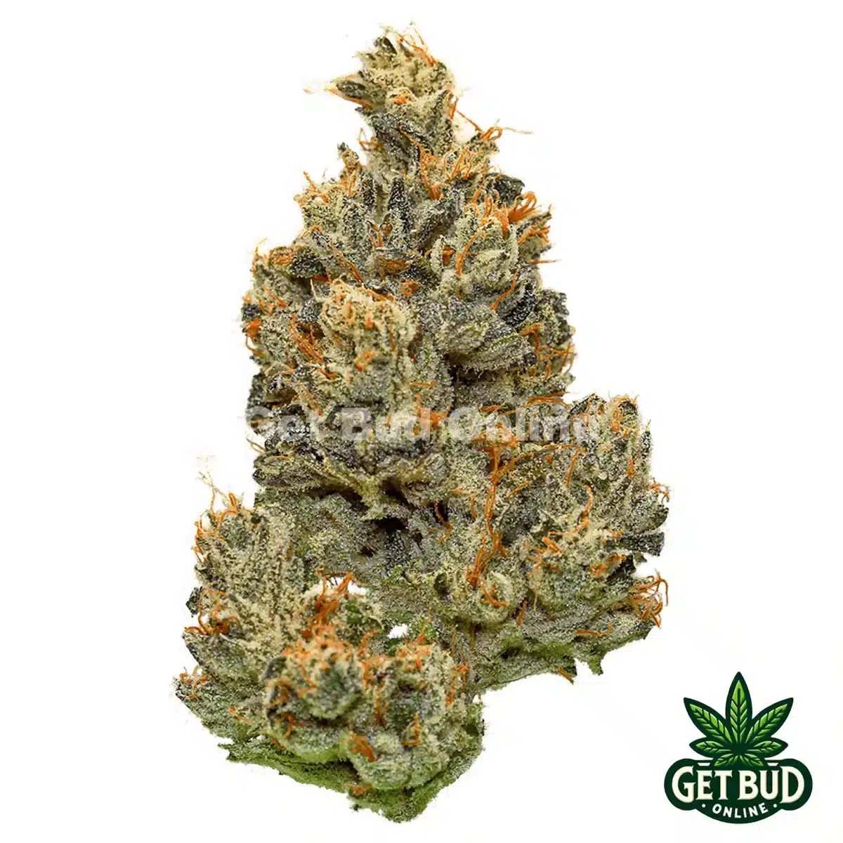 CBX Cannabiotix Flower 3.5g - Funk Master (Premium Bud)